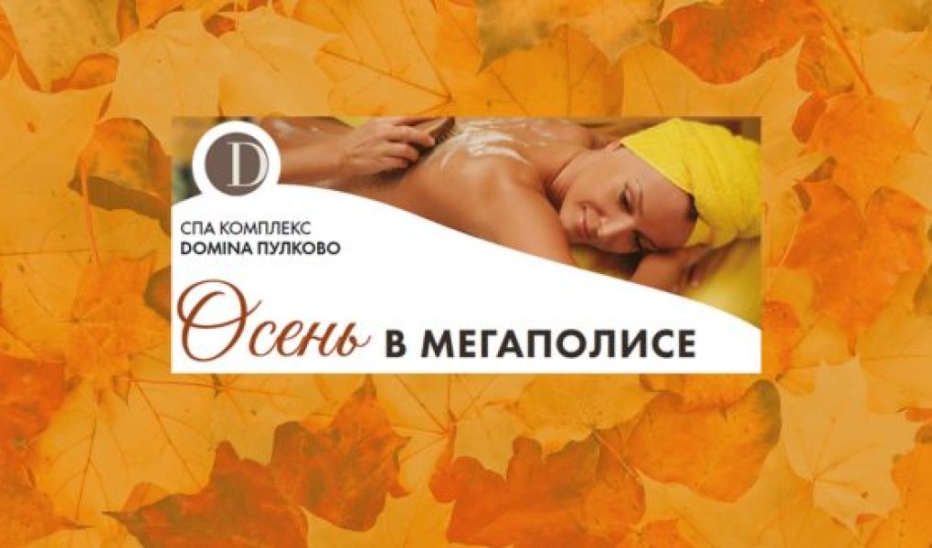Программа «Осень в мегаполисе»