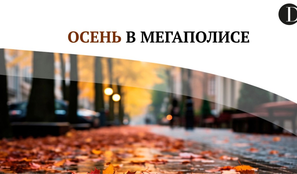 Программа «Осень в мегаполисе»